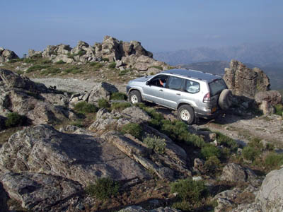 Corse 10