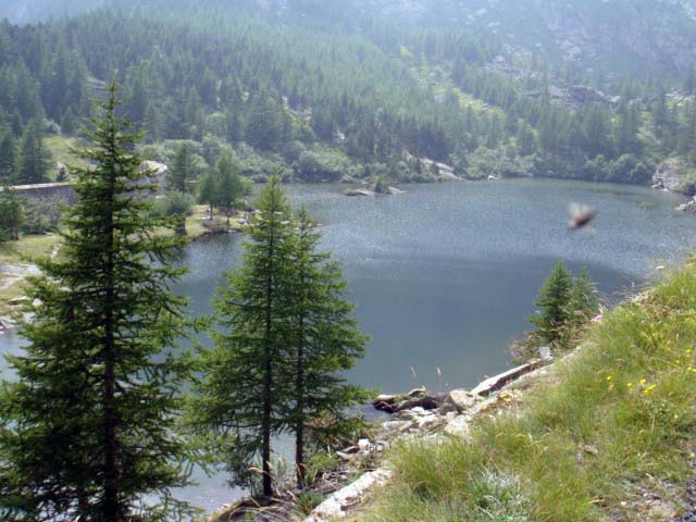 DSC00512