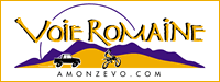 logo romaine