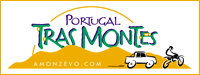 logo portugal