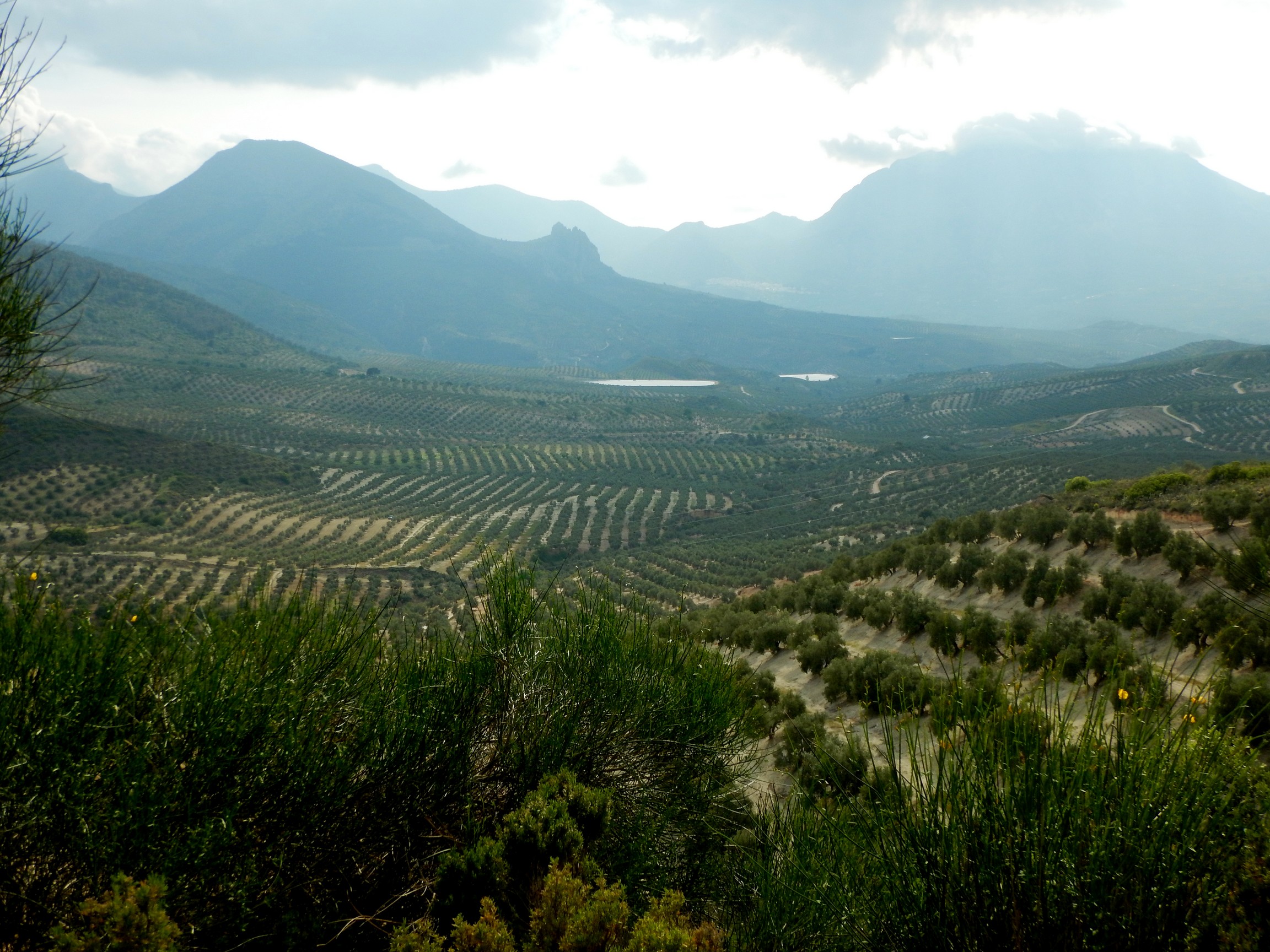 Andalousie bimoto mai 2018 09